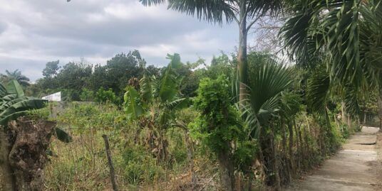Terreno En Venta Urbanización Thomén
